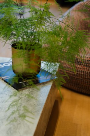 COUCHTISCH SUPERWHITE